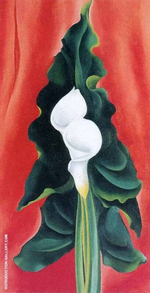 Calla Lilies on Red 1928 by Georgia O'Keeffe | Oil Painting Reproduction