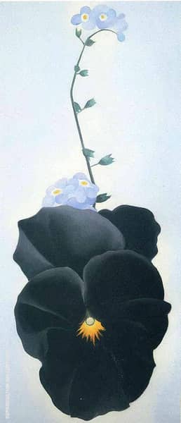Pansy 1926 by Georgia O'Keeffe | Oil Painting Reproduction