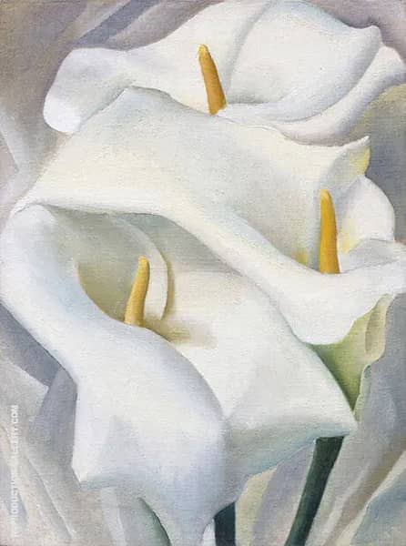 Calla Lilies 1924 459 by Georgia O'Keeffe | Oil Painting Reproduction