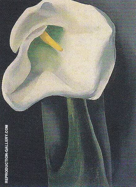 Calla Lily With Black 1923 by Georgia O'Keeffe | Oil Painting Reproduction