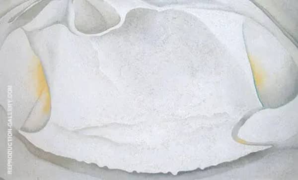 Clam Shell 1930 by Georgia O'Keeffe | Oil Painting Reproduction