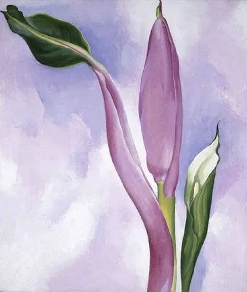 Pink Ornamental Banana 1939 | Oil Painting Reproduction