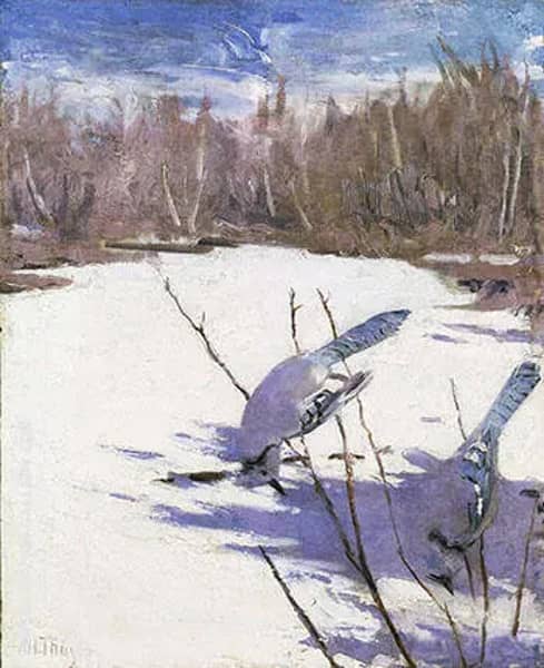 Blue Jays in Winter 1905-09 by Abbott H Thayer | Oil Painting Reproduction