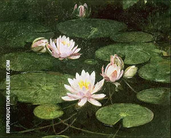 Waterlilies 1884 by Abbott H Thayer | Oil Painting Reproduction