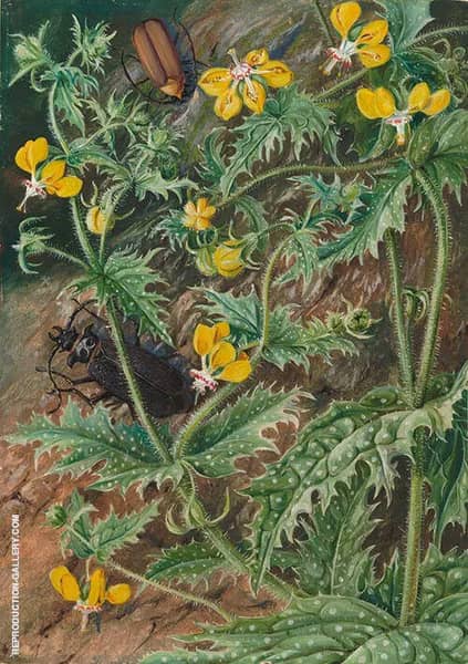 A Chilean Stinging Nettle and Male and Female Beetles 1880 | Oil Painting Reproduction