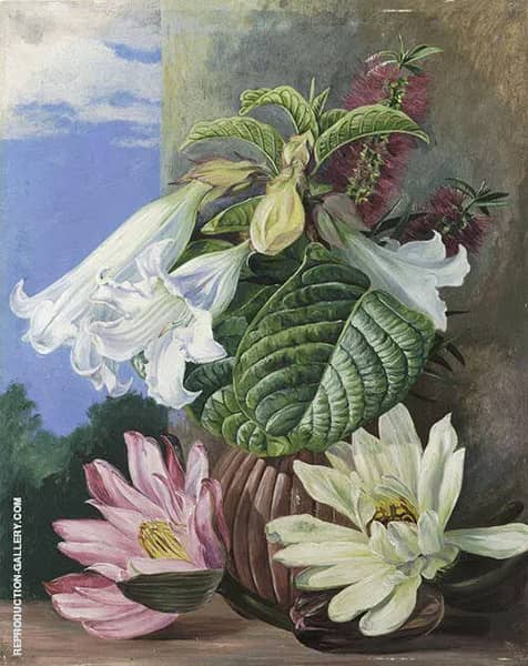 Flowers Cultivated in The Botanic Garden Rio Janeiro Brazil | Oil Painting Reproduction