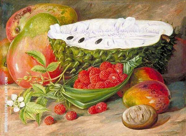 Fruit Grown in The Seychelles 1883 | Oil Painting Reproduction