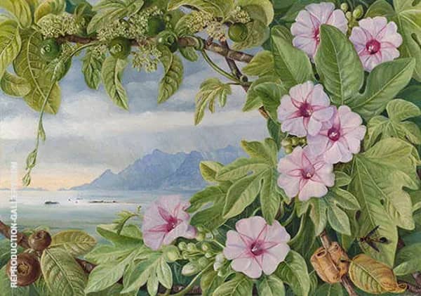 Ipomoea and Vavangue with Mahe Harbour in The Distance | Oil Painting Reproduction