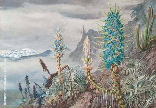 The Blue Puya and Cactus at Home in The Cordilleras Near Apoquindo Chili 1880 | Oil Painting Reproduction