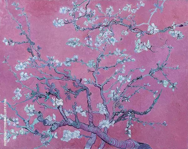 Branches with Almond Blossom Magenta | Oil Painting Reproduction