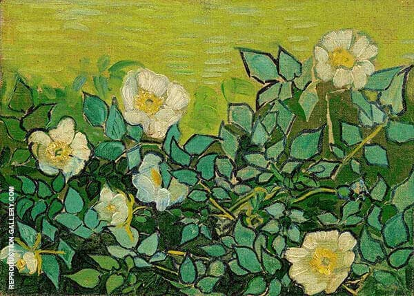 Wild Roses by Vincent van Gogh | Oil Painting Reproduction