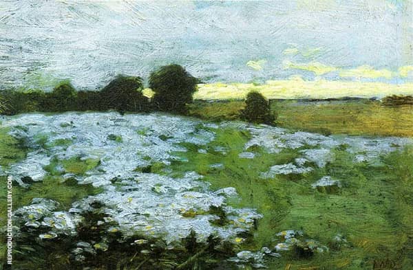 Ipswich Field Flower Study 1910 | Oil Painting Reproduction