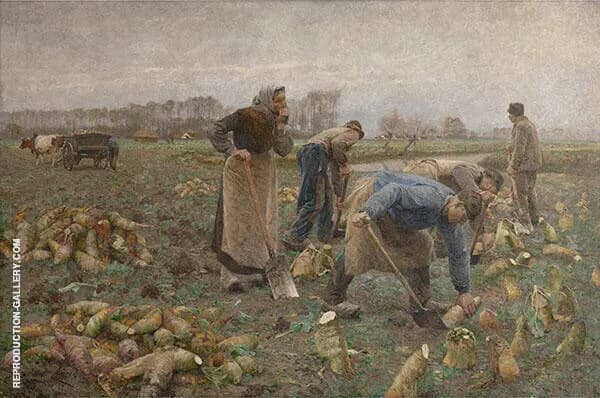 The Beet Harvest 1890 by Emile Claus | Oil Painting Reproduction