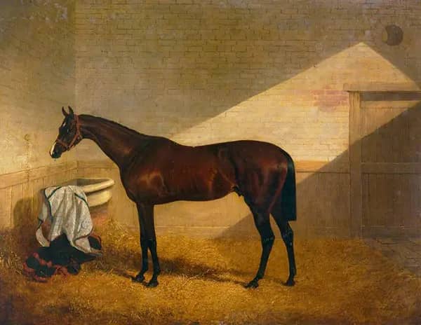 Attila by John Frederick Snr Herring | Oil Painting Reproduction