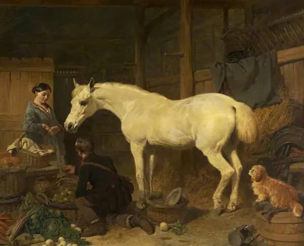 Plenipo by John Frederick Snr Herring | Oil Painting Reproduction