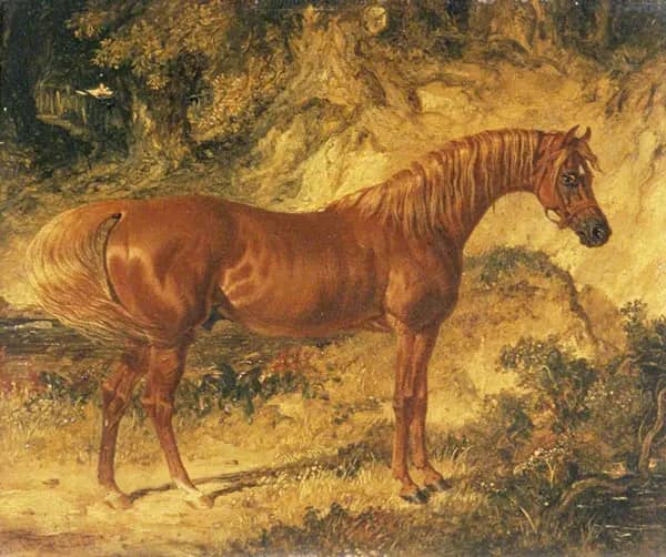 The Racehorse Actaeon | Oil Painting Reproduction