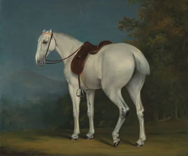 A Lady's Grey Hunter 1806 | Oil Painting Reproduction