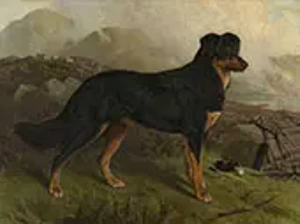 Noble 1887 by Charles Burton Barber | Oil Painting Reproduction