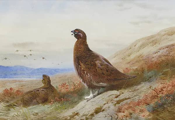 The Challenge 1917 by Archibald Thorburn | Oil Painting Reproduction