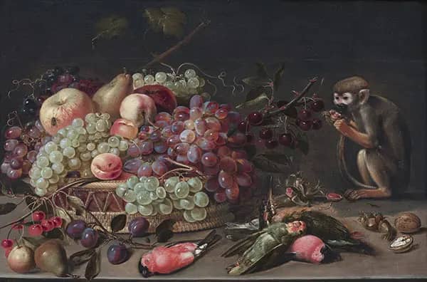 Still Life of Fruit Dead Birds and a Monkey | Oil Painting Reproduction