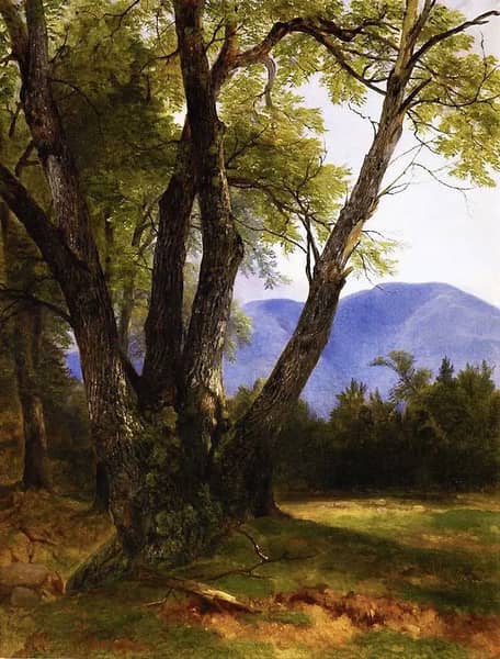 Shandaken Ulster County by Asher Brown Durand | Oil Painting Reproduction