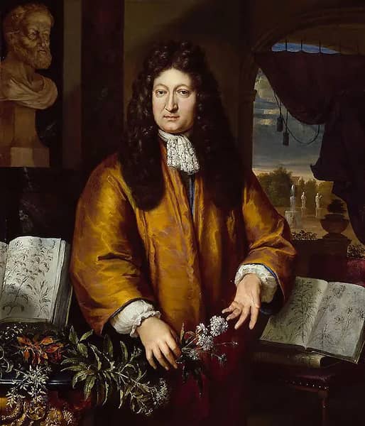 Jan Commelin by Gerard Hoet | Oil Painting Reproduction