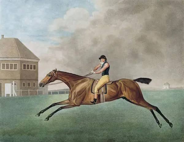 Baronet 1794 by George Stubbs | Oil Painting Reproduction