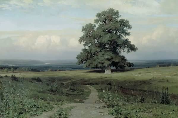 Amongst the Plain Valley 1883 by Ivan Shishkin | Oil Painting Reproduction
