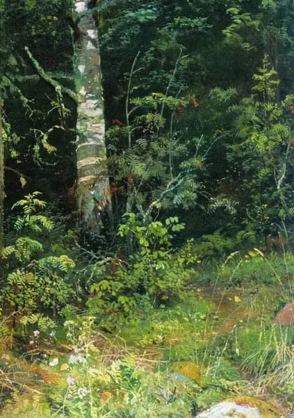 Birch and Rowan 1878 by Ivan Shishkin | Oil Painting Reproduction