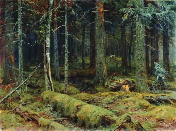 Dark Forest 1890 by Ivan Shishkin | Oil Painting Reproduction