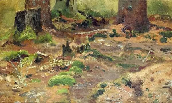 Etude Forest by Ivan Shishkin | Oil Painting Reproduction