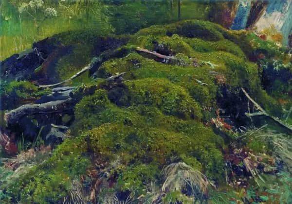 Moss Roots by Ivan Shishkin | Oil Painting Reproduction