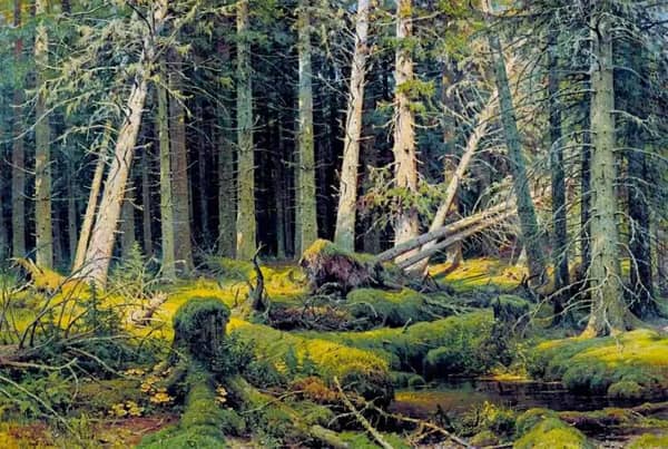 Windbreak1888 by Ivan Shishkin | Oil Painting Reproduction