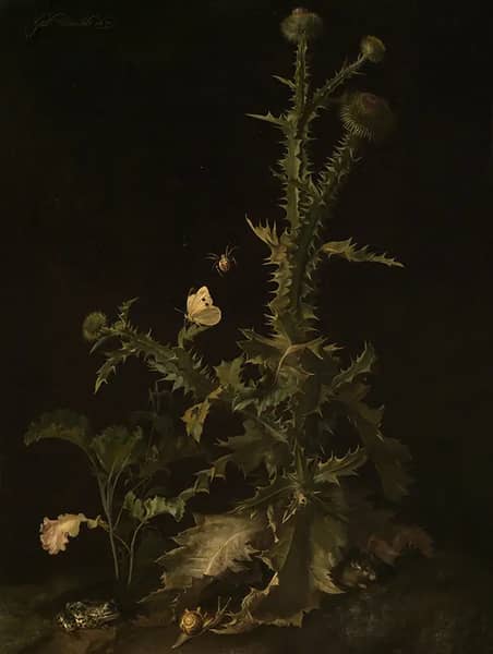 Thistle with Various Animals | Oil Painting Reproduction