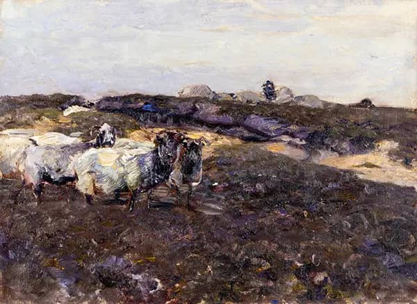 Sheeps in Moorland by Heinrich von Zugel | Oil Painting Reproduction