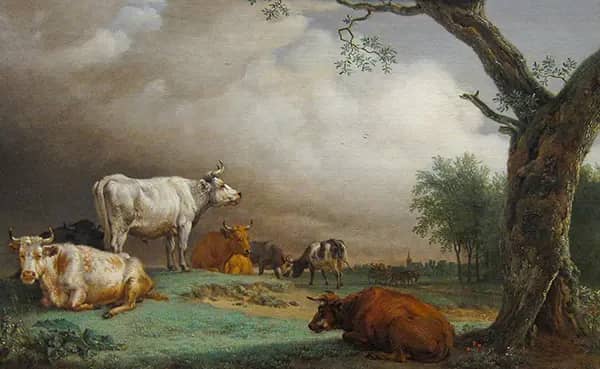 Cattle in a Meadow by Paulus Potter | Oil Painting Reproduction