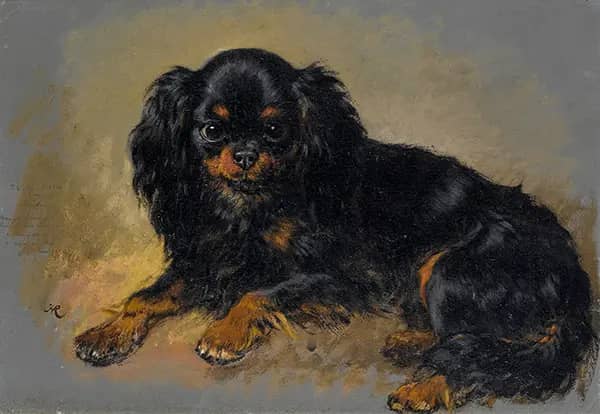 Neptune, A King Charles Spaniel | Oil Painting Reproduction