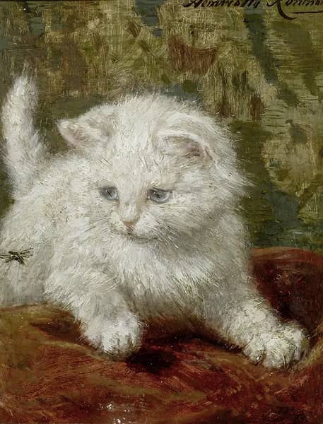 Curiosity by Henriette Ronner Knip | Oil Painting Reproduction