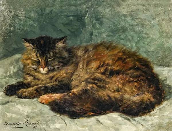Cat with Closed Eyes by Henriette Ronner Knip | Oil Painting Reproduction