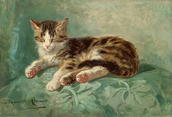 Cat Nap by Henriette Ronner Knip | Oil Painting Reproduction