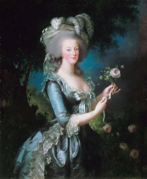 Marie Antoinette with a Rose | Oil Painting Reproduction