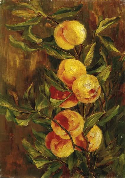 Still Life with Peaches by Giovanni Segantini | Oil Painting Reproduction