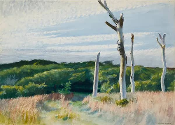 Four Dead Trees 1942 by Edward Hopper | Oil Painting Reproduction