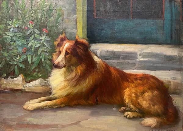 Portrait of Collie at Rest 1800 | Oil Painting Reproduction