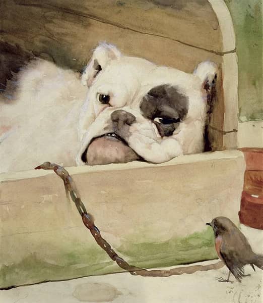 Bulldog 1927 by Cecil Aldin | Oil Painting Reproduction