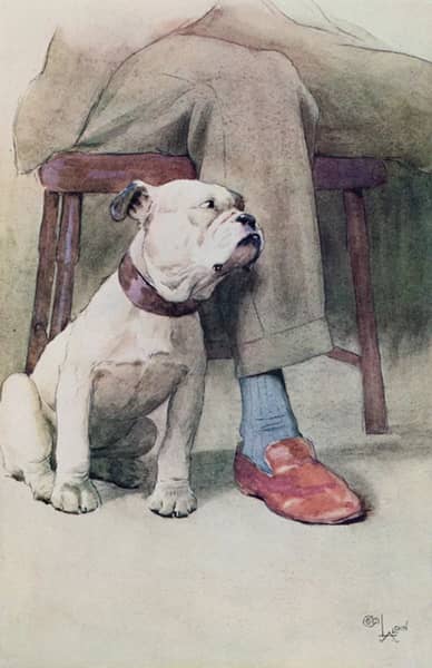 Bulldog by Cecil Aldin | Oil Painting Reproduction