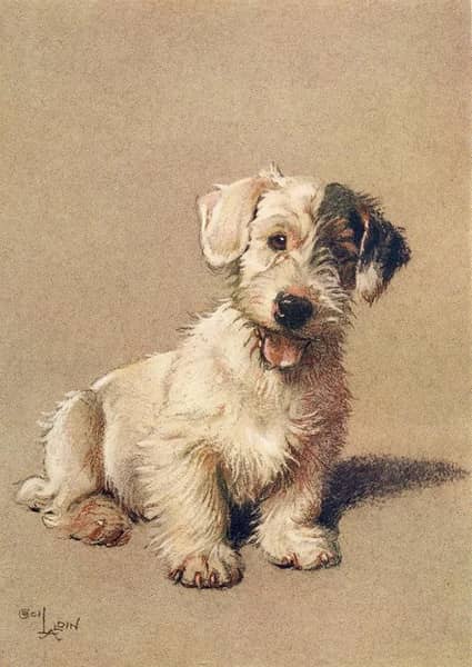Sealyham Terrier Puppy by Cecil Aldin | Oil Painting Reproduction