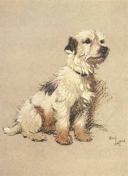 Terrier Dog 1928 by Cecil Aldin | Oil Painting Reproduction