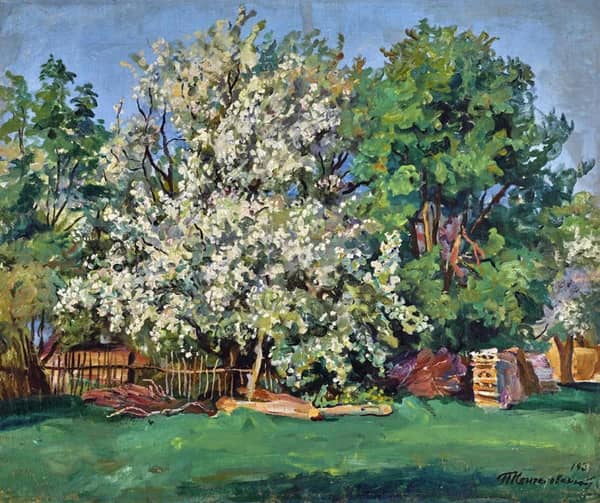 Apple Tree in Bloom 1937 by Pyotr Konchalovsky | Oil Painting Reproduction