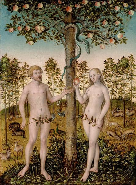 The Fall of Man by Lucas Cranach the Younger | Oil Painting Reproduction